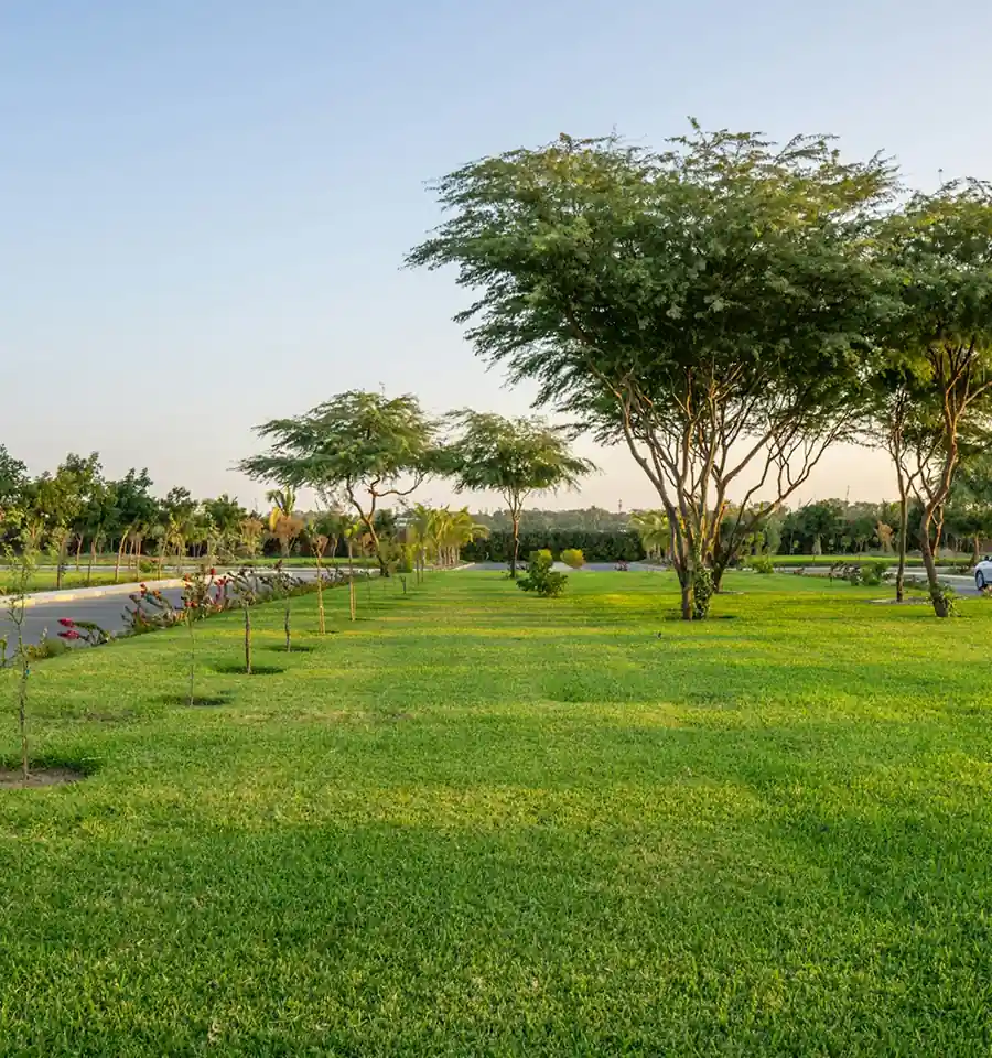 Green Space